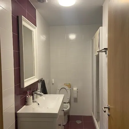 Atico Nuevo En Con Plaza De Garaje Arteixo